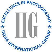 iig Logo