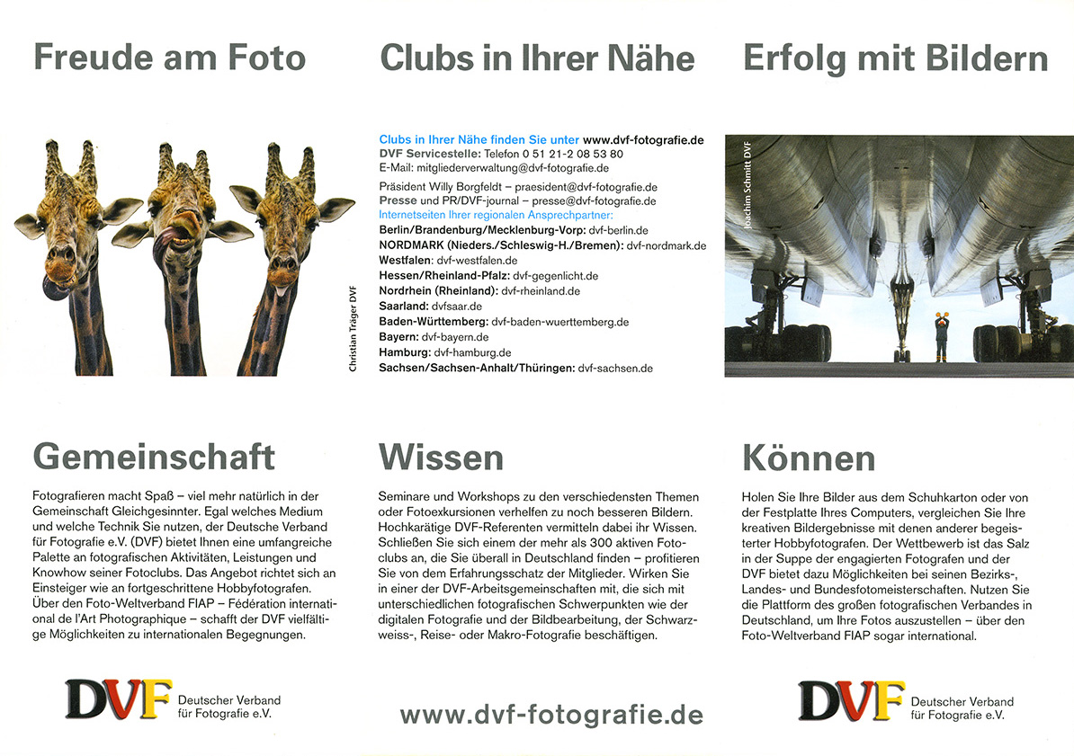 Werbeflyer des DVF
