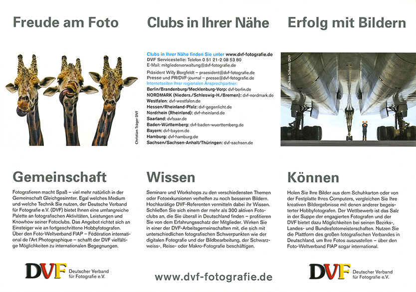 Werbeflyer des DVF