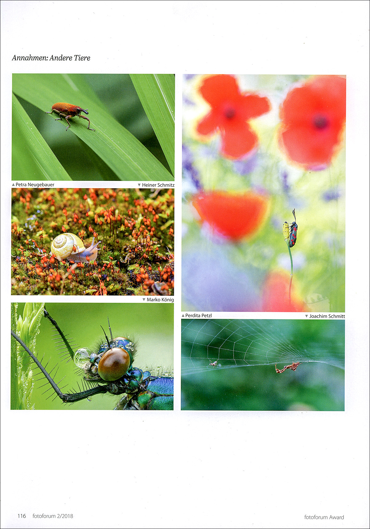 Fotoforum 2/2018