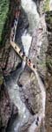 Breitachklamm