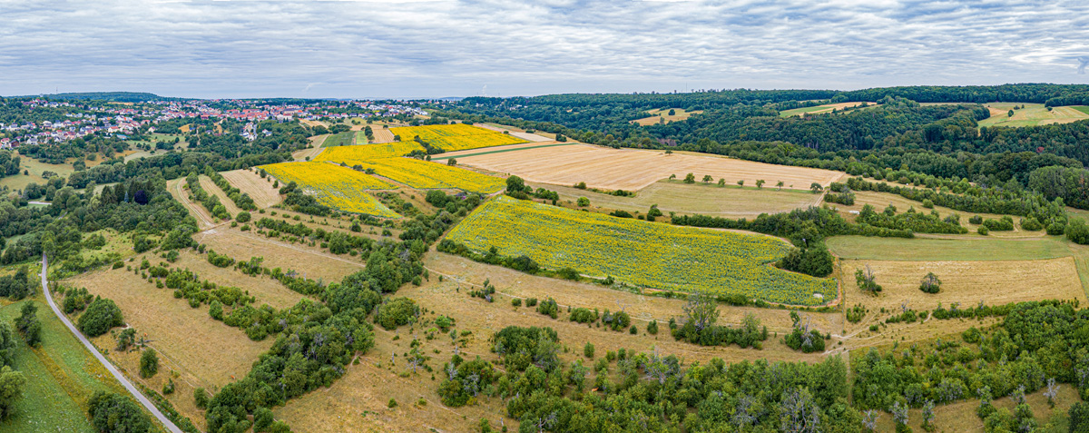Frankreich-Alsting-03
