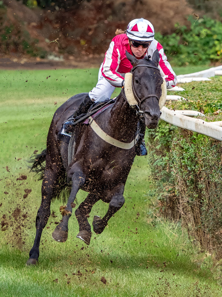 Pferderennen Guedingen 1